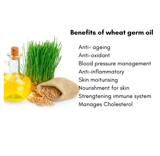 Triticum Vulgare (Wheat) Germ Oil - Image 2