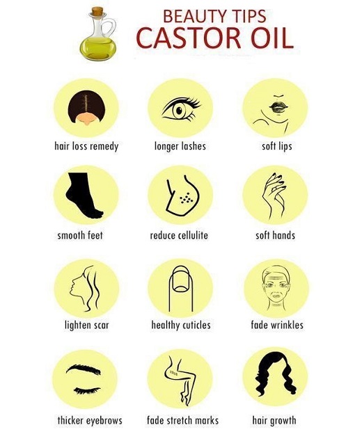 NBT Naturals - Certified Organic Edible/ Food Grade - Hexane - Free, Cold Pressed Castor Oil - Image 3